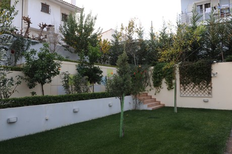 Πράσινο και δέντρα παντού στα Δύο Δέντρα!