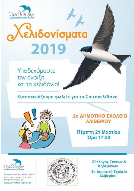 ΑΛΙΒΕΡΙ: Υποδέχονται την άνοιξη και φτιάχνουν φωλιές για τα χελιδόνια