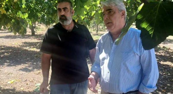 ΚΕΔΙΚΟΓΛΟΥ: Μέχρι και τις 30 Σεπτεμβρίου οι αποζημιώσεις των συκοπαραγωγών από τις βροχοπτώσεις