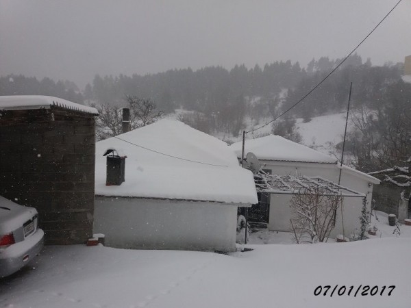 Και η Κερασιά στη χιονισμένη παρέα μας (φωτό)