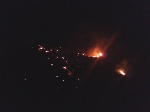 Τέθηκε υπό έλεγχο η φωτιά στο Μύρτο