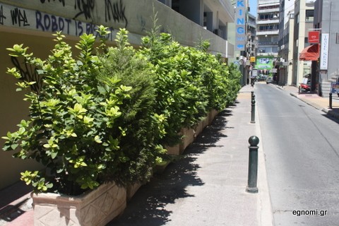 Καταπράσινο το πεζοδρόμιο