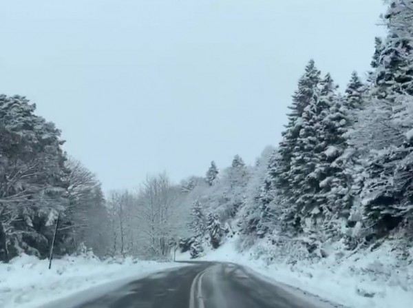 ΛΕΑΝΔΡΟΣ: Νέες εικόνες από χιόνια στην Εύβοια (UPD)