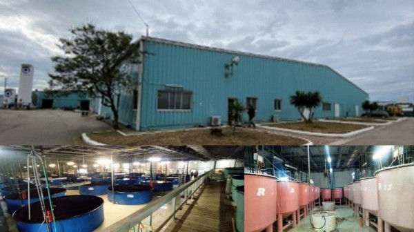 ΨΑΧΝΑ ΕΥΒΟΙΑΣ: Ξανά στο ...σφυρί η μονάδα των Ιχθυοκαλλιεργειών Φόρκυς