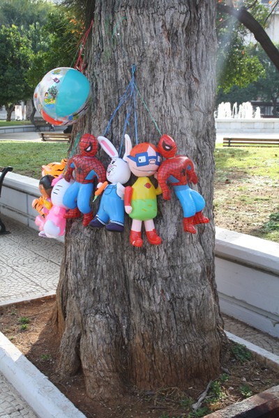 Το ... κουκλόδενδρο