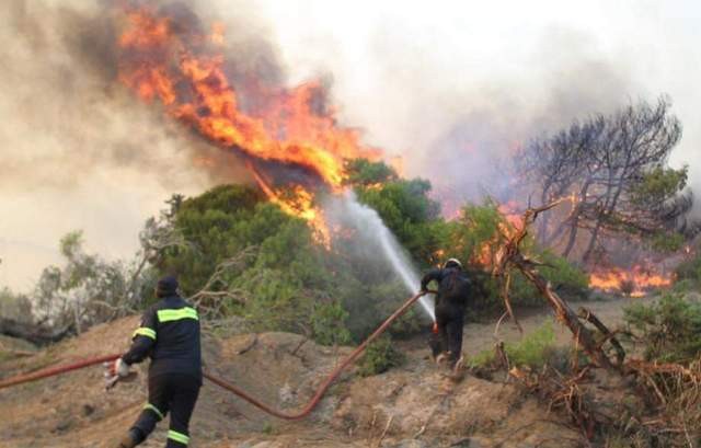 Δύο φωτιές σε δασική έκταση στη Νότια Εύβοια το πρωί του Σαββάτου