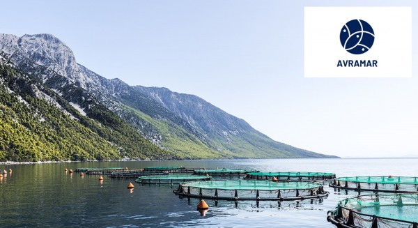 AVRAMAR: Συνεχίζονται για 5 εβδομάδες οι δίωρες στάσεις εργασίας και στις 3 βάρδιες