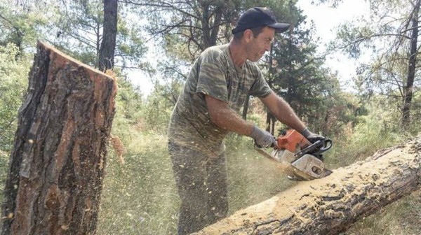 ΕΥΒΟΙΑ: Οι δασεργάτες ζητούν επίδομα επικινδυνότητας και ανθυγιεινής εργασίας