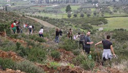 Μαθητές και Δασαρχείο πρασίνισαν το Καλκανδρί