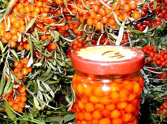 Εκδήλωση για εναλλακτικές καλλιέργειες στην Ερέτρια