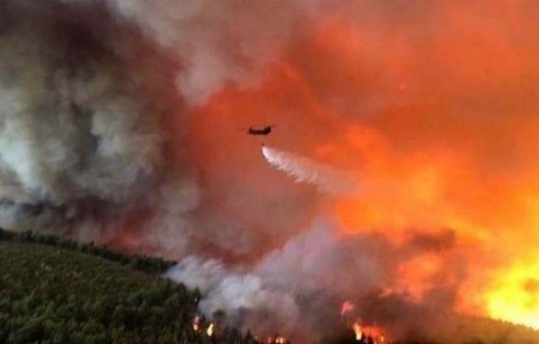 ΦΩΤΙΑ ΕΥΒΟΙΑ: Αυτές είναι οι δυνάμεις που επιχειρούν στο νησί σύμφωνα με ανακοίνωση της Πυροσβεστικής