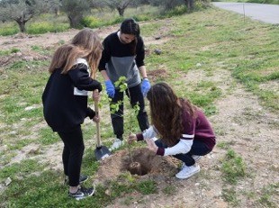 Σκουπιδότοπος στη Δροσιά μετατρέπεται σε χώρος πρασίνου