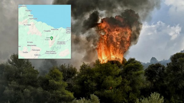 Φωτιά σε δασική έκταση στη Γλυφάδα του Δήμου Διρφύων- Μεσσαπίων