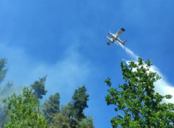 Τέθηκε υπό έλεγχο η φωτιά στις Γούβες