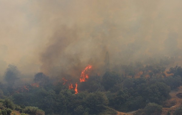 Σε επιφυλακή για εκδήλωση φωτιάς και την Παρασκευή η Νότιος Εύβοια