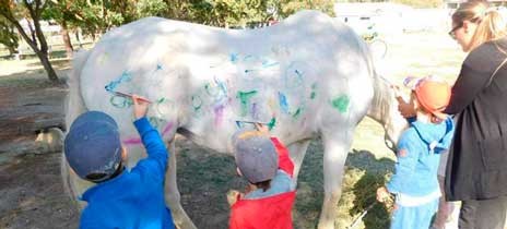 Παιδικός σταθμός έβαλε παιδιά να ζωγραφίζουν πάνω σε άλογα
