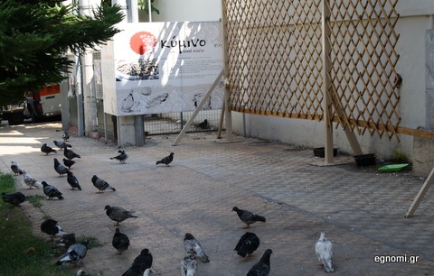 Το Κύμινο μάζεψε τα τραπεζάκια