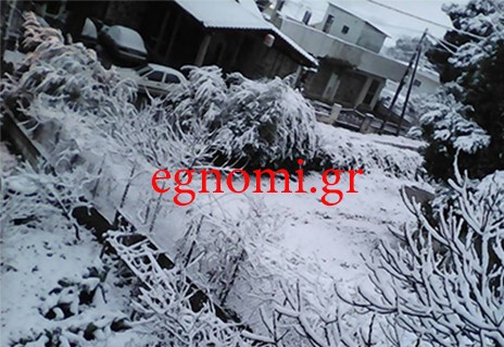 Κλειστά και την Τρίτη τα σχολεία στο Δήμο Διρφύων Μεσσαπίων