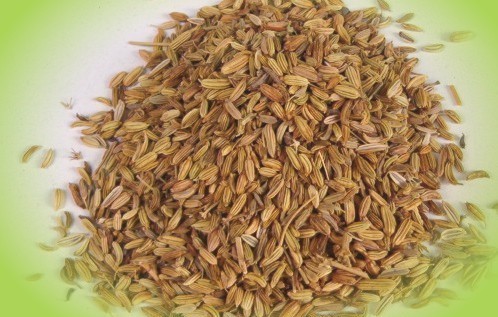 Πιο φθηνά θα πληρώνουν οι αγρότες τον μαραθόσπορο