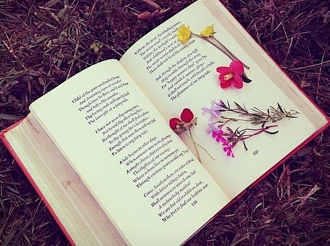 Δωρεάν μαθήματα ελληνικής και ευρωπαϊκής ποίησης