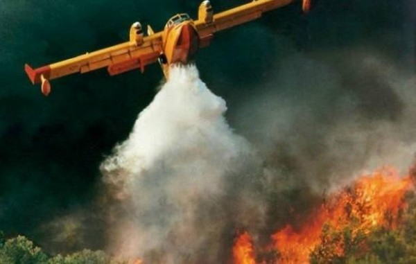 ΣΤΥΡΑ ΚΑΡΥΣΤΙΑΣ: Άρπαξε φωτιά σε δασική έκταση