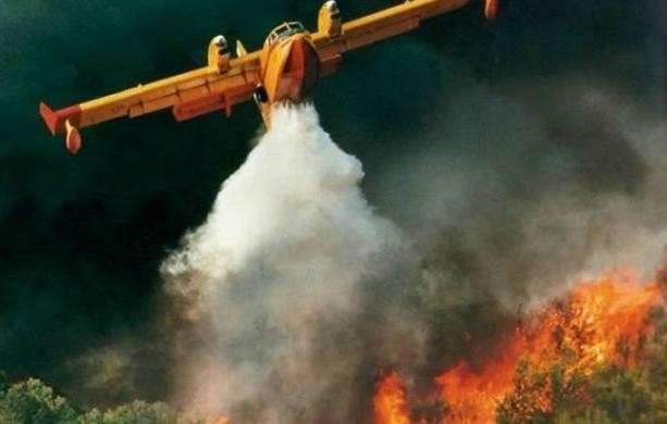 ΣΤΥΡΑ ΚΑΡΥΣΤΙΑΣ: Άρπαξε φωτιά σε δασική έκταση