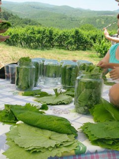 Αμπελόφυλλα