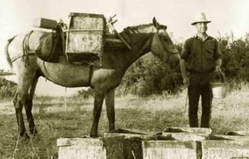 Οι βουλευτές του ΚΚΕ υπέρ των ρητινοκαλλιεργητών