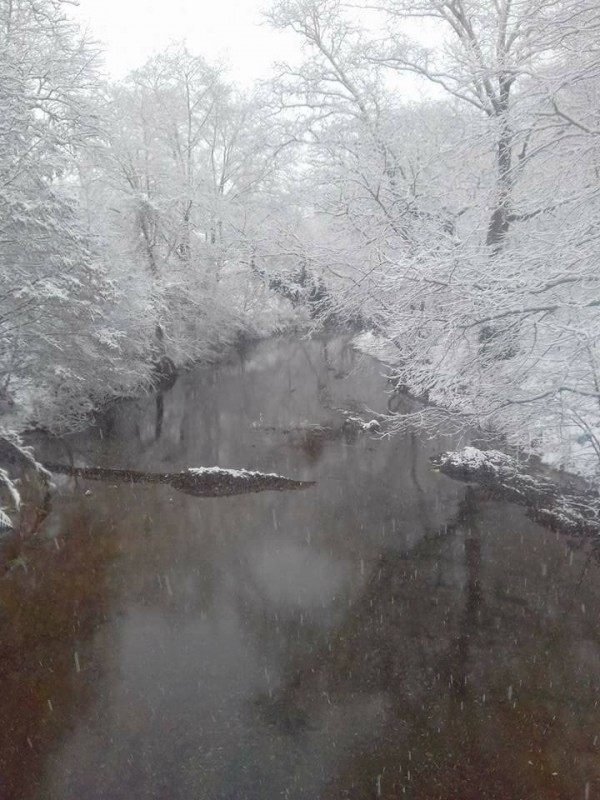 WOW! Παγώνει το κοκκαλάκι σου με τη φωτό από την Κήρινθο