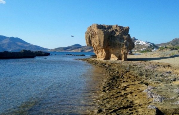 ΣΚΥΡΟΣ: Εντοπίστηκε νεκρή θαλάσσια χελώνα καρέτα-καρέτα