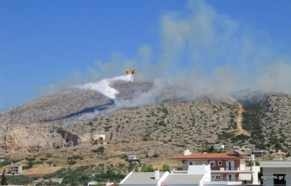 Πυρκαγιά στην Εξω Παναγίτσα: Τι κάηκε