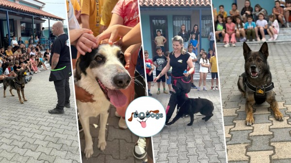 DO DOGS: Φέρνει κοντά μαθητές και σκυλάκια!