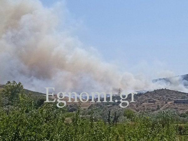 ΧΑΛΚΙΔΑ: Υπό μερικό έλεγχο η φωτιά στο Βαθροβούνι- Άνοιξε ο δρόμος Χαλκίδας - Βασιλικού