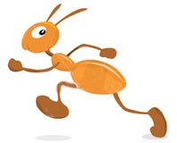 Τι μπορεί να κάνει ένα μυρμήγκι