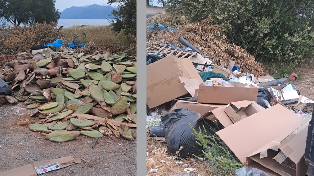 ΔΡΟΣΙΑ ΧΑΛΚΙΔΑΣ: Χωματερή δίπλα στην παραλία