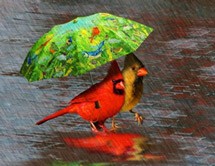 Αλλάζει ο καιρός και αρχίζει να γίνεται φθινοπωρινός