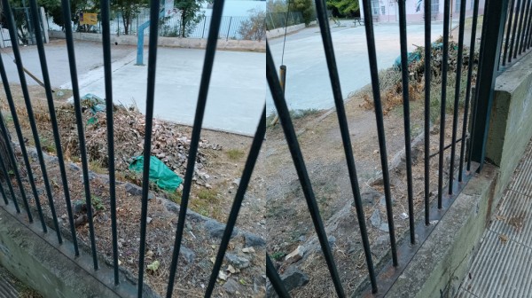 ΚΑΤΑΓΓΕΛΙΑ: Στοίβα τα κλαδιά μέσα στο προαύλιο του βρεφονηπιακού σταθμού της Σουβάλας