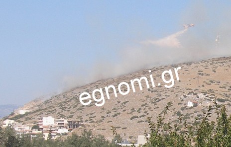 Χαλκίδα: Φωτιά στην Εξω Παναγίτσα απειλεί σπίτια