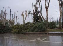 Αναστάτωση από την κακοκαιρία