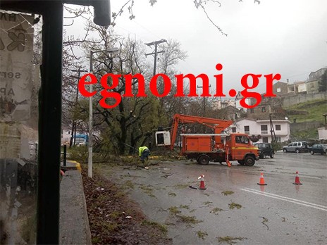 ΕΥΒΟΙΑ ΣΤΕΝΗ: Δένδρο έπεσε πάνω στο γεφύρι και σε κολώνα της ΔΕΗ