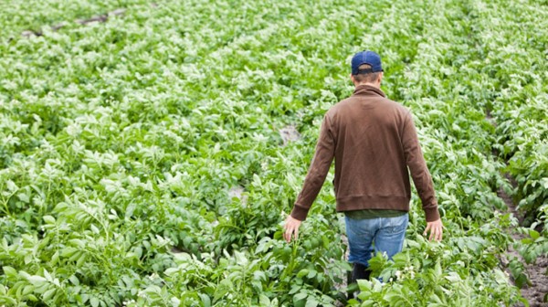 ΣΤΕΡΕΑ ΕΛΛΑΔΑ: Επιδότηση σε γεωργούς νεαρής ηλικίας για νέες γεωργικές και πτηνοκτηνοτροφικές εκμεταλλεύσεις