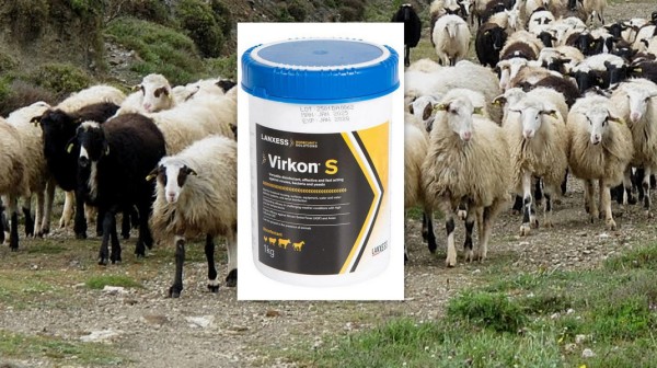 ΕΥΒΟΙΑ: Δωρεάν χορήγηση απολυμαντικού σκευάσματος στους κτηνοτρόφους για την προστασία από την ευλογιά των προβάτων