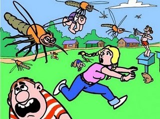 Τα κουνούπια τρύπωσαν στο Περιφερειακό Συμβούλιο