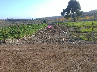 Ο Οικοδομικός Συνεταιρισμός Απόστρατων Αξιωματικών εκμισθώνει αγροτικές εκτάσεις