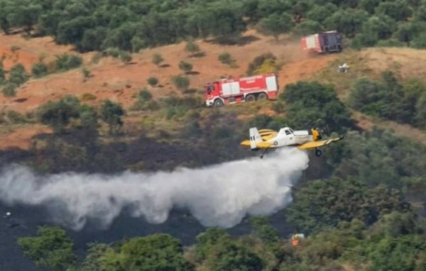 ΑΓΙΟΣ ΕΥΒΟΙΑΣ: Άρπαξε φωτιά το μεσημέρι της Πέμπτης
