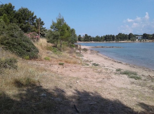 ΔΡΟΣΙΑ: Παρατημένη στην τύχη της η παραλία του Μπουρνώντα