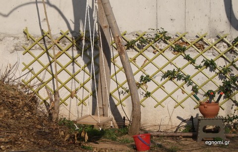 Κούνια μιας άλλης εποχής στην οδό Τόλια