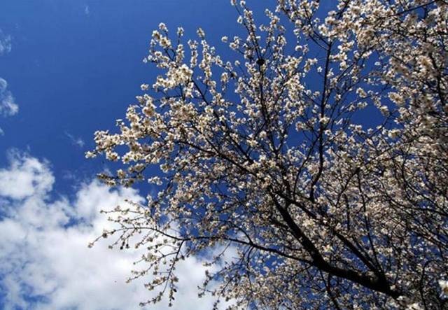 ΚΑΙΡΟΣ: Ανοιξιάτικο σκηνικό με υψηλές θερμοκρασίες