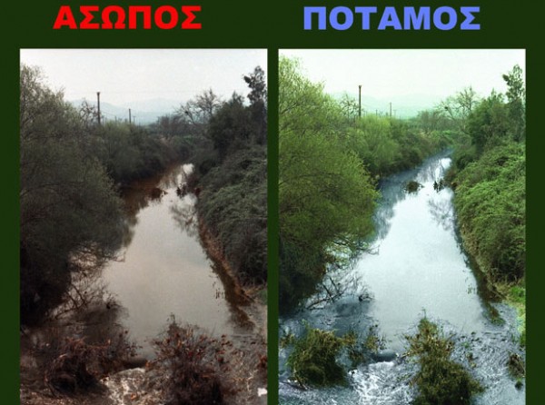 Ο Ασωπός ...πλημμύρισε από μελέτες