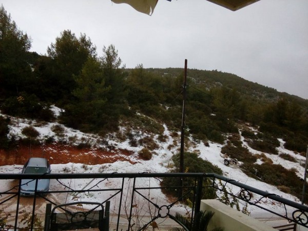 Οντάθι και Αφράτι παίζουν ...χιονισμένη μπαλίτσα!